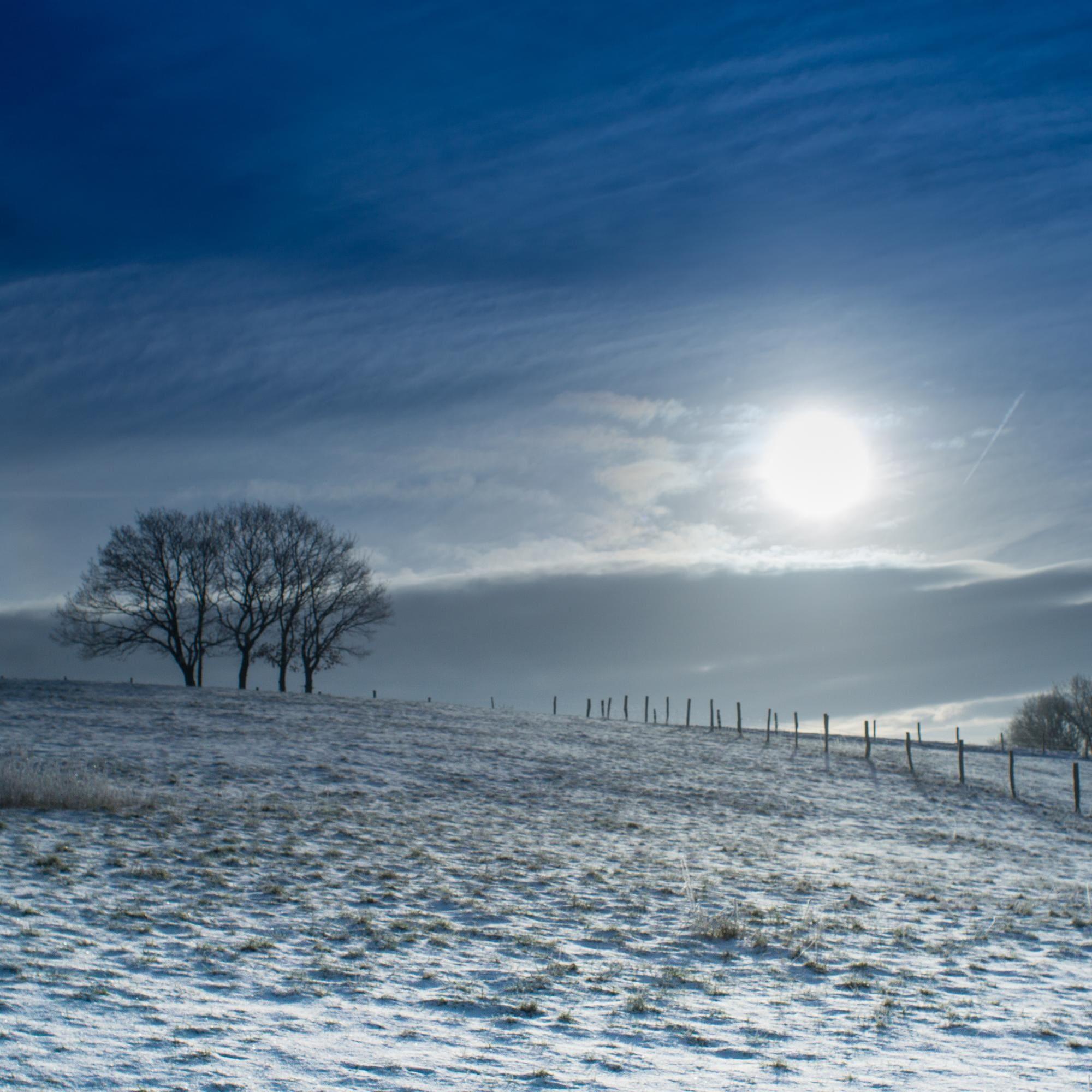 Login to your account